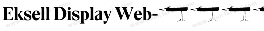 Eksell Display Web字体转换
